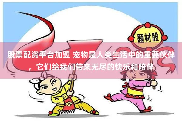 股票配资平台加盟 宠物是人类生活中的重要伙伴，它们给我们带来无尽的快乐和陪伴