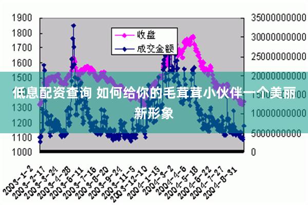 低息配资查询 如何给你的毛茸茸小伙伴一个美丽新形象