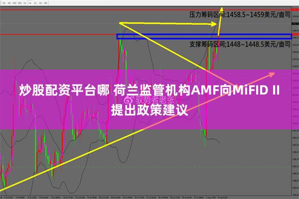 炒股配资平台哪 荷兰监管机构AMF向MiFID II提出政策建议