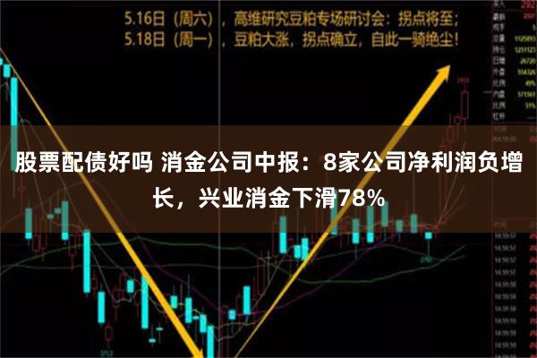 股票配债好吗 消金公司中报：8家公司净利润负增长，兴业消金下滑78%