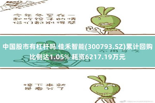 中国股市有杠杆吗 佳禾智能(300793.SZ)累计回购比例达1.05% 耗资6217.19万元